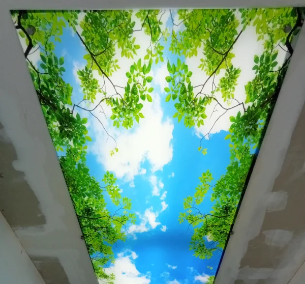 Ceiling panels - Image 2